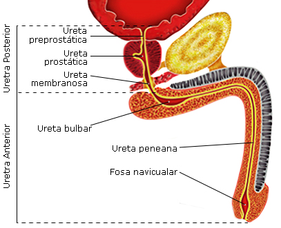 Imagen de portada