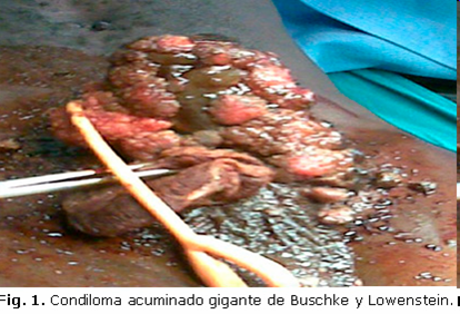 Imagen de portada
