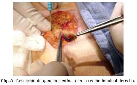 Imagen de portada